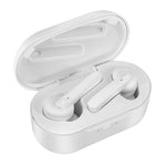 DT-5 IPX 防水藍牙 5.0 無線藍牙耳機附磁吸充電盒，支援通話及行動電源功能, DT-5