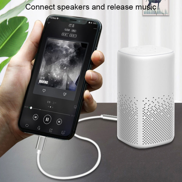 8針轉3.5mm AUX音頻轉接線，長度：1米