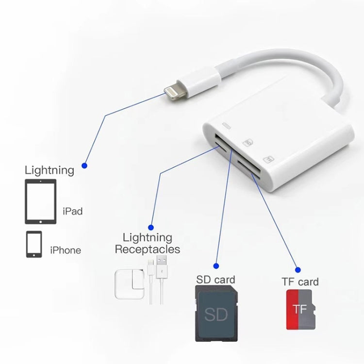 NK-101Y Pro 8 針轉 8 針 + SD + TF 埠 3合1相機讀卡器轉接器