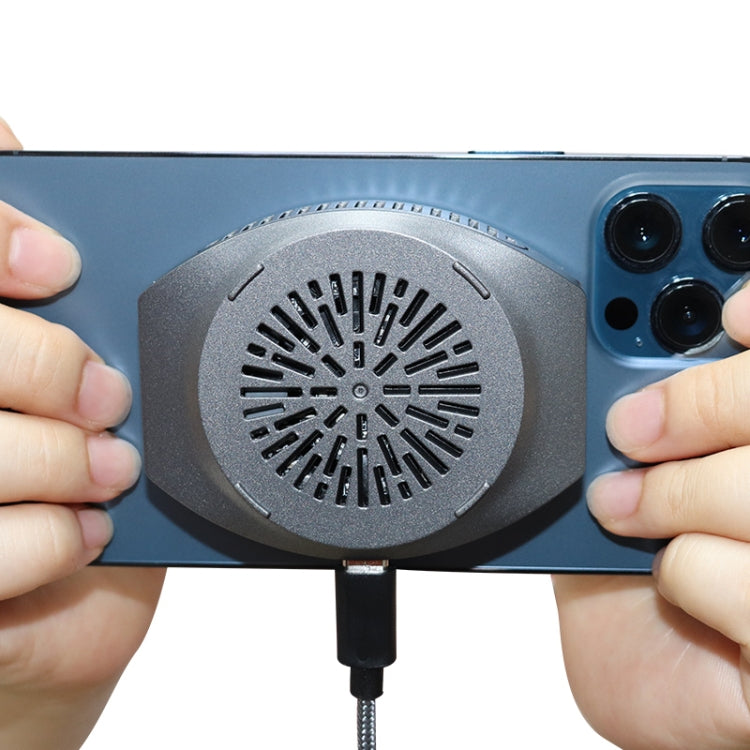 نص بديل للصورة