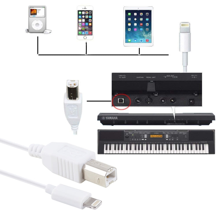 1米 8 針轉 Type-B 公頭鋼琴／電子鋼琴線 MIDI 線轉接器，8 針