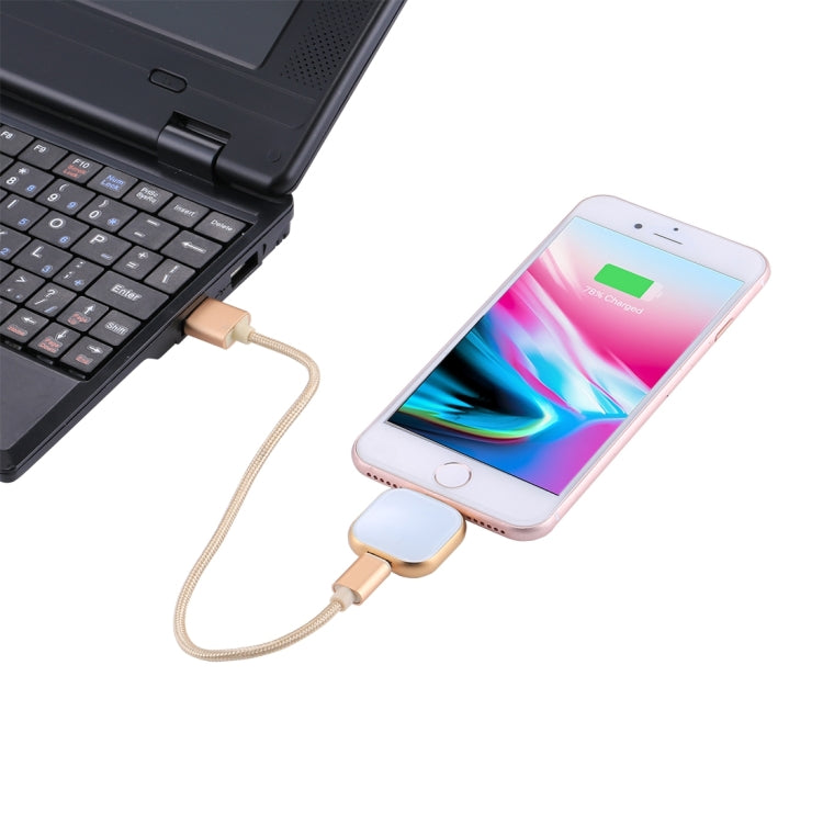 RQW-18S 8 針 64GB 多功能隨身碟附 USB / Micro USB 轉 Micro USB 線，RQW-18S 金色