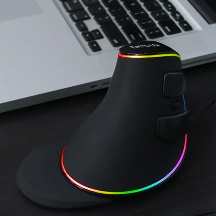 DELUX M618 Plus RGB 有線光學滑鼠 人體工學垂直滑鼠 4000DPI，有線4000DPI