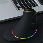 DELUX M618 Plus RGB 有線光學滑鼠 人體工學垂直滑鼠 4000DPI，有線4000DPI