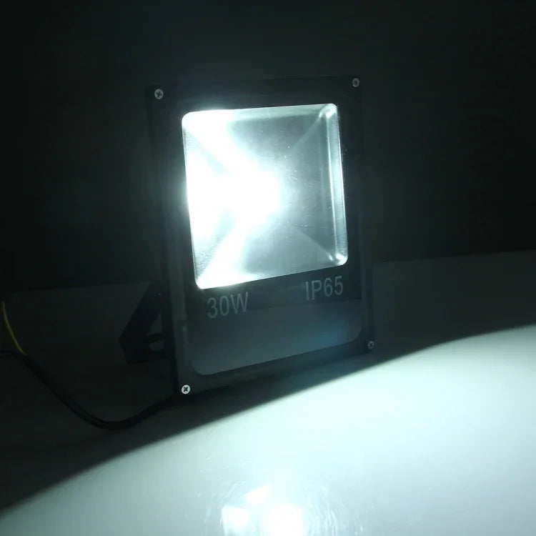 2700流明燈，交流85-265V，30W/2700流明白光，30W/2700流明暖白光