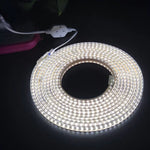 10米 SMD 2835 1200 LED 燈條，AC 220V-240V，歐規插頭，10米
