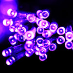 200 LED網狀串燈帶端接頭及多功能控制器，暖白歐規插頭，藍光歐規插頭，彩色光歐規插頭，紫光歐規插頭，白光歐規插頭