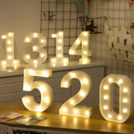 Dry Battery Powered Warm White Standing Hanging Holiday Light, LED6214A, LED6214B, LED6214C, LED6214D, LED6214E, LED6214F, LED6214G, LED6214H, LED6214J, LED6214K