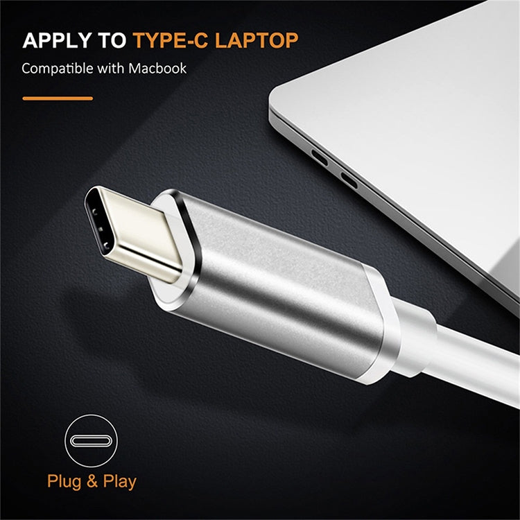 USB-C / Type-C 3.1 公對 DP 母高清轉換器，長度：12cm