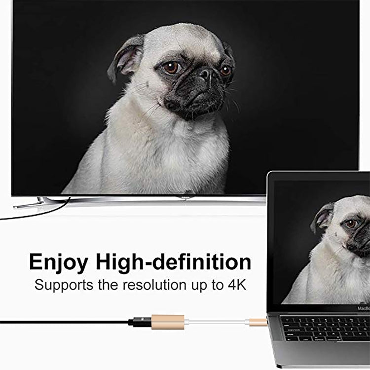 USB-C / Type-C 3.1 公頭轉 Mini DP 母頭高清轉換器，長度：12cm，銀色，金色