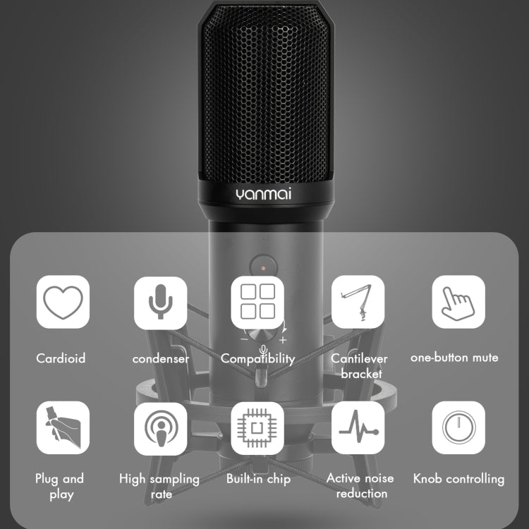 Yanmai Q10B USB錄音麥克風套件，Q10B