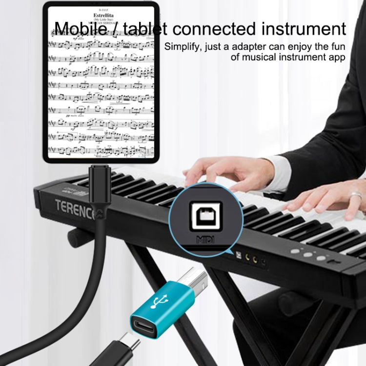 Type-C 母轉 MIDI 公通用轉接器，適用於電子樂器