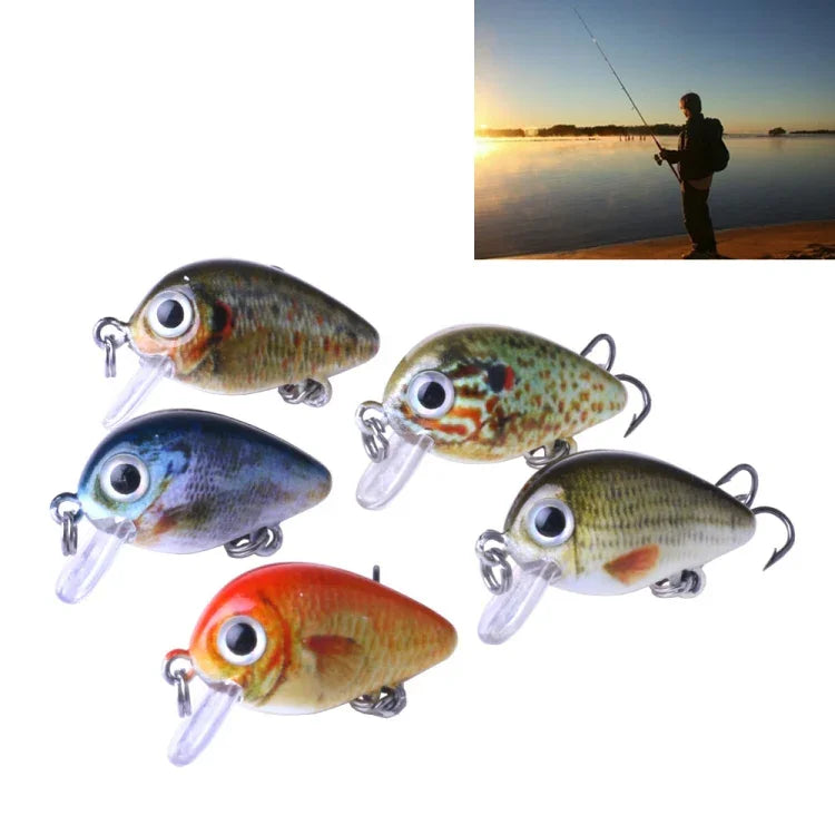 HENGJIA 5件2.7cm/1.5g路亞岩石釣魚餌仿生套裝帶塑料盒，Box008
