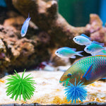 水族箱裝飾品TPR仿真海膽球珊瑚，尺寸：L，直徑：13cm，尺寸：L