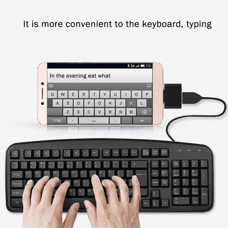 塑膠 USB-C / Type-C 公頭轉 USB 2.0 母頭 OTG 數據傳輸充電轉接器