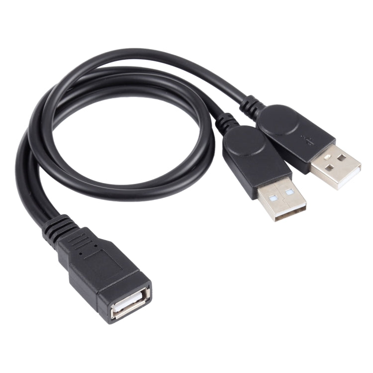 USB 母頭轉 2 個 USB 公頭線，長度：約 30 公分