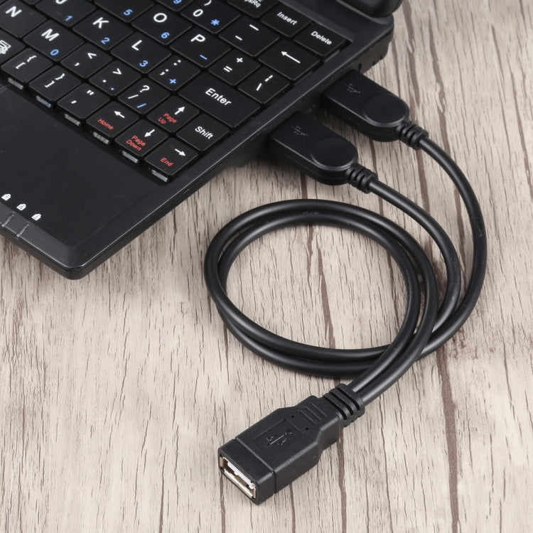 USB 母頭轉 2 個 USB 公頭線，長度：約 30 公分
