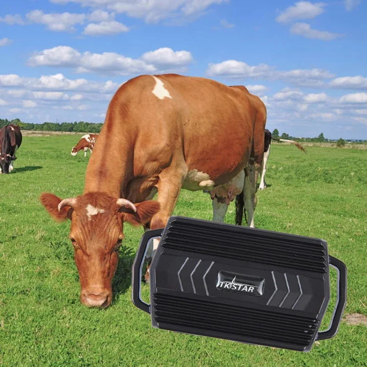 TKSTAR TK935 3000mAh GPS 寵物牲畜車用追蹤器 防水定位器，TK935