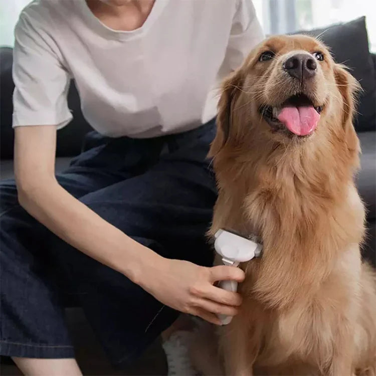 原廠小米有品Pawbby單手寵物除毛梳，寵物除毛梳