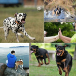 PULUZ 獵犬取物胸帶，可調節胸帶支架，適用 GoPro、Insta360、DJI 及其他運動相機，狗胸帶