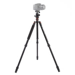 Triopo MT-2504C 可調式便攜鋁合金三腳架，搭配 NB-1S 球型雲台，適用 Canon Nikon Sony DSLR 相機，MT-2504C（黑色）、MT-2504C（金色）