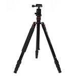 Triopo MT-2504C 可調式便攜鋁合金三腳架，搭配 NB-1S 球型雲台，適用 Canon Nikon Sony DSLR 相機，MT-2504C（黑色）、MT-2504C（金色）