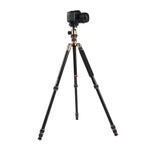 Triopo MT-2504C 可調式便攜鋁合金三腳架，搭配 NB-1S 球型雲台，適用 Canon Nikon Sony DSLR 相機，MT-2504C（黑色）、MT-2504C（金色）
