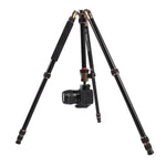 Triopo MT-2504C 可調式便攜鋁合金三腳架，搭配 NB-1S 球型雲台，適用 Canon Nikon Sony DSLR 相機，MT-2504C（黑色）、MT-2504C（金色）