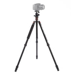 Triopo MT-2504C 可調式便攜鋁合金三腳架，搭配 NB-1S 球型雲台，適用 Canon Nikon Sony DSLR 相機，MT-2504C（黑色）、MT-2504C（金色）