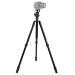 Triopo MT-2804C 可調式便攜鋁合金三腳架，搭配 NB-2S 球型雲台，適用 Canon Nikon Sony DSLR 相機，MT-2804C（黑色）、MT-2804C（金色）