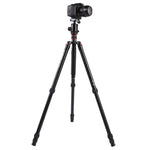 Triopo MT-2804C 可調式便攜鋁合金三腳架，搭配 NB-2S 球型雲台，適用 Canon Nikon Sony DSLR 相機，MT-2804C（黑色）、MT-2804C（金色）