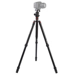 Triopo MT-2804C 可調式便攜鋁合金三腳架，搭配 NB-2S 球型雲台，適用 Canon Nikon Sony DSLR 相機，MT-2804C（黑色）、MT-2804C（金色）