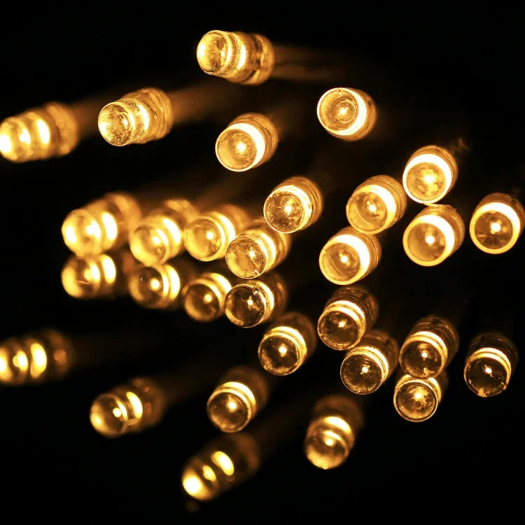 聖誕派對用，20顆LED，2模式閃爍，電池供電，2米暖白光，2米白光