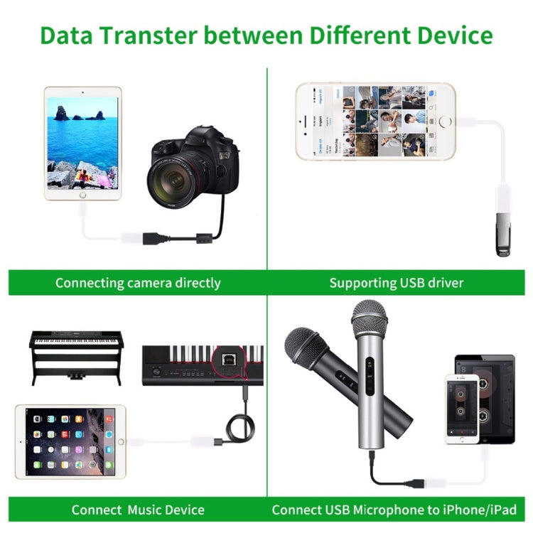 USB 母對 8 針公 OTG 轉接線，支援 iOS 10.2 及以下，長度：18公分