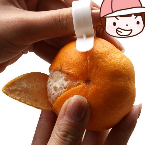 圖片替代文字