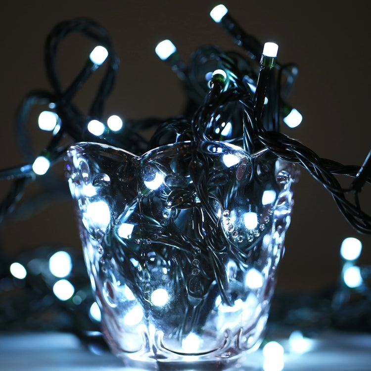 100 顆 LED RGB 燈帶含控制器，閃爍 / 漸變 / 追逐效果，暖白色 EU 插頭，白光 EU 插頭，220V 彩色燈 EU 插頭