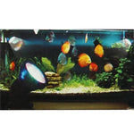 36顆LED兩棲魚缸/水族箱彩色燈，防水深度：1-1.5公尺