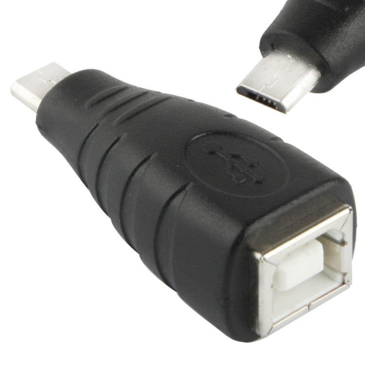 Micro USB公頭轉USB BF轉接器，USB B母頭