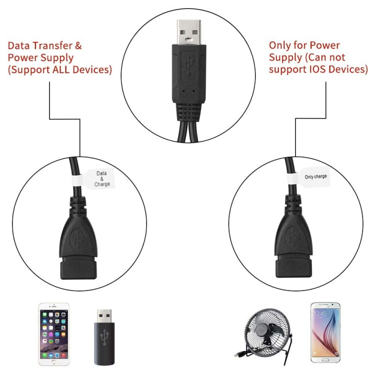 USB 2.0 公頭轉雙 USB 母座轉接線，適用於電腦／筆記型電腦，長度：約 30cm，USB 2.0 AM 轉 2 個 USB 2.0 AF
