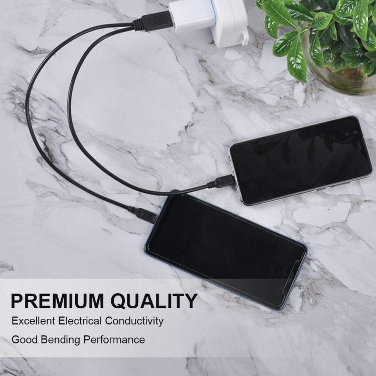 USB 2.0 公頭轉 2 個 Micro USB 公頭線，長度：約 30cm，USB 2.0 AM 轉 2 Micro USB