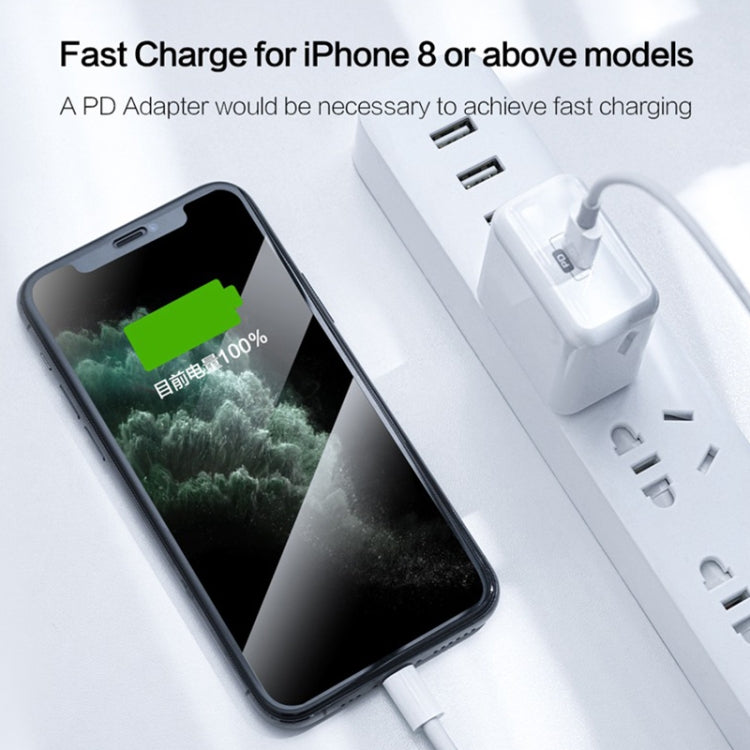 USB-C / Type-C 3.1 公頭轉 8 針公頭數據線，線長：1m