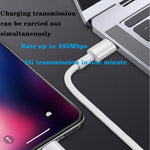 2 合 1 PD 20W 單 USB-C / Type-C 埠旅行充電器 + 3A PD3.0 USB-C / Type-C 轉 8 針快充數據線組，線長：1m，歐規插頭，20W 1m