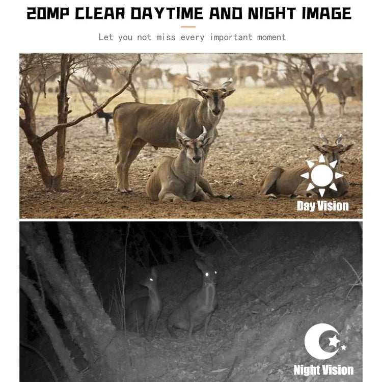 PR700 1080P 野生動物狩獵相機 動作感應夜視攝錄機 戶外追蹤掃描觸發，PR700
