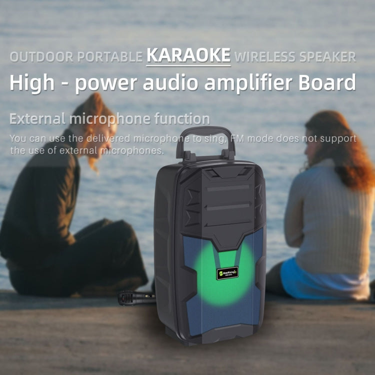 NewRixing NRG401C 戶外便攜卡拉OK無線喇叭 高功率音頻放大器，含麥克風，無麥克風