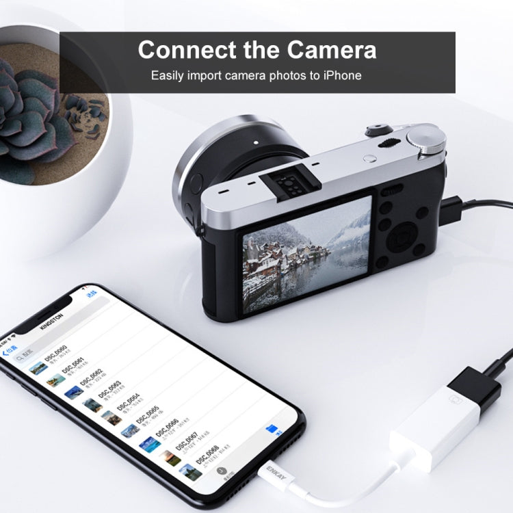 ENKAY ENK-AT108 8 針轉 USB 3.0 OTG 轉接數據線適用於 iPhone / iPad