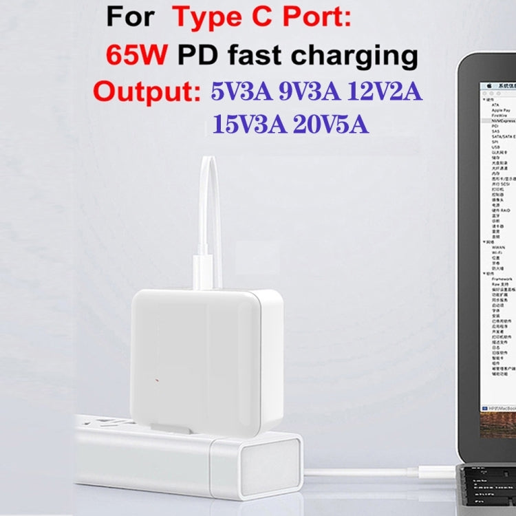 GaN 100W 雙 USB + 雙 USB-C/Type-C 多埠充電器，附 2米 Type-C 轉 Type-C 數據線組合，美國插頭，美國 / 歐盟插頭，美國 / 英國插頭，美國 / 澳洲插頭，美國 / 歐盟 / 英國插頭，美國 / 歐盟 / 英國 / 澳洲插頭