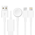 適用於 Apple Watch 系列、iPhone 及具 Type-C 介面手機 三合一 USB 磁吸充電線 4英尺/1.2米，DS-XB017