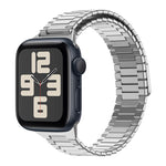 竹紋磁性不鏽鋼金屬錶帶，適用於 Apple Watch SE 2023 44mm，適用於 Apple Watch SE 2023 40mm，適用於 Apple Watch Ultra 2 49mm，適用於 Apple Watch Series 9 45mm，適用於 Apple Watch Series 9 41mm，適用於 Apple Watch Ultra 49mm