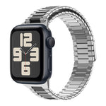 竹紋磁性不鏽鋼金屬錶帶，適用於 Apple Watch SE 2023 44mm，適用於 Apple Watch SE 2023 40mm，適用於 Apple Watch Ultra 2 49mm，適用於 Apple Watch Series 9 45mm，適用於 Apple Watch Series 9 41mm，適用於 Apple Watch Ultra 49mm