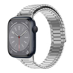 竹紋磁性不鏽鋼金屬錶帶，適用於 Apple Watch Series 8 41mm，適用於 Apple Watch Series 8 45mm，適用於 Apple Watch SE 2022 40mm，適用於 Apple Watch SE 2022 44mm，適用於 Apple Watch Series 7 41mm，適用於 Apple Watch Series 7 45mm